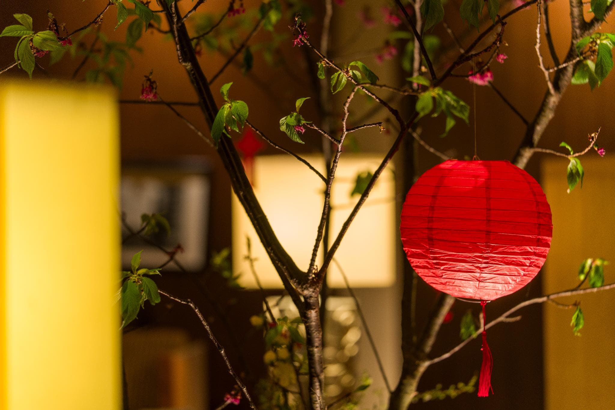 Les Suites Ching Cheng Hotel photo 4