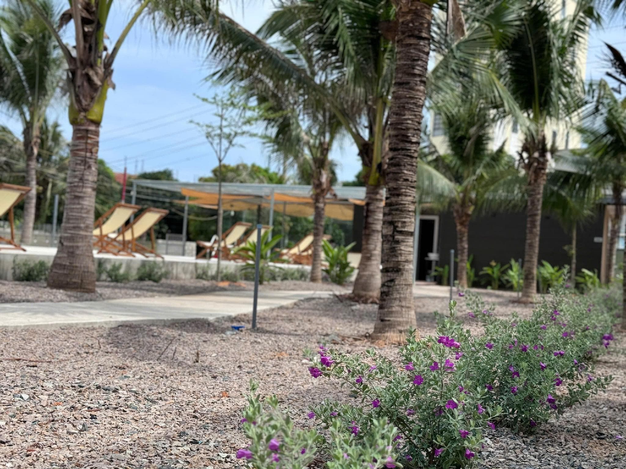 Wanderlust garden inn photo 5