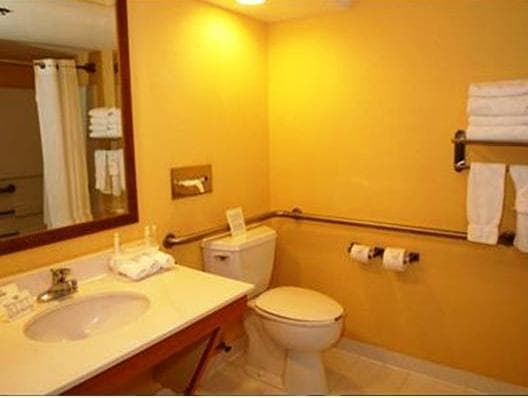 Holiday Inn Express Hotel & Suites Pigeon Forge By IHG photo 2