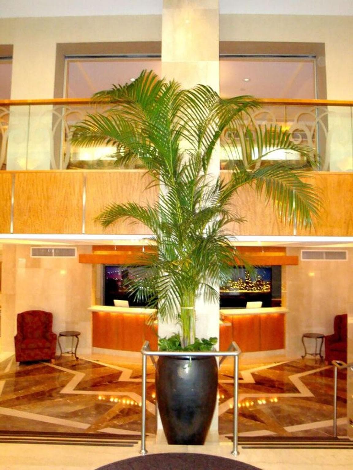 San Carlos Hotel photo 4