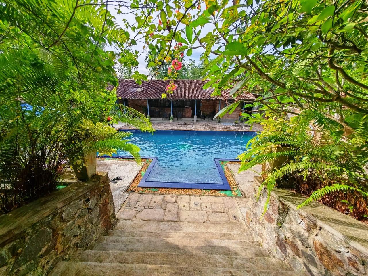 The Nature Palace Villa photo 5