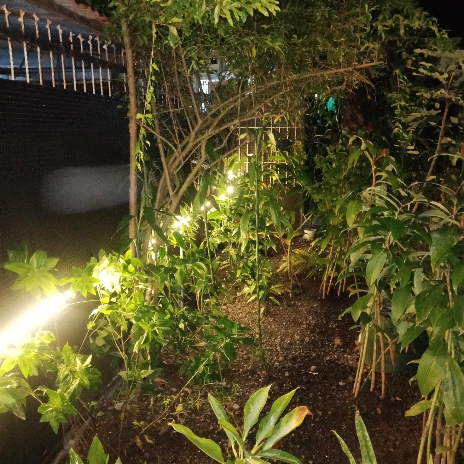Dimas Cottage photo 3