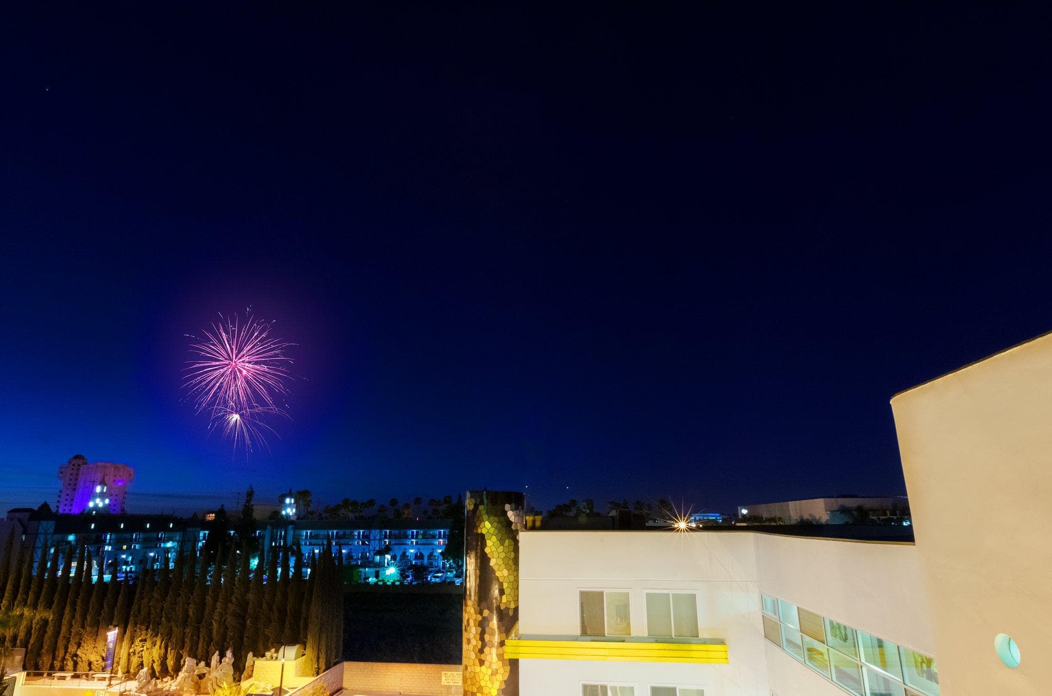 Hotel Indigo Anaheim By IHG photo 4