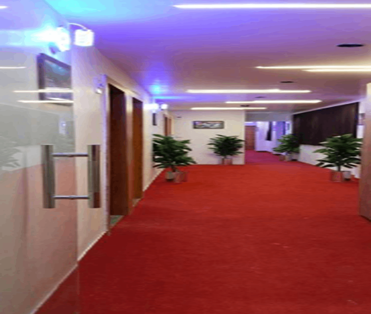 Hotel Royal Relax photo 5