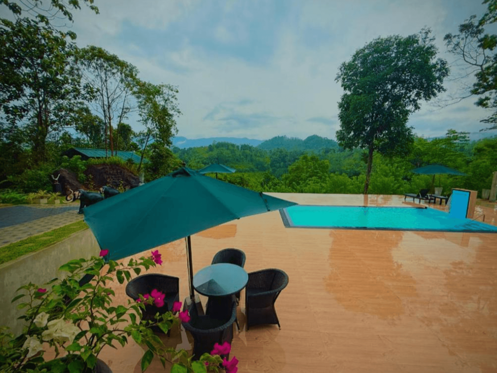The Secret Garden at Mist of Sinharaja photo 3