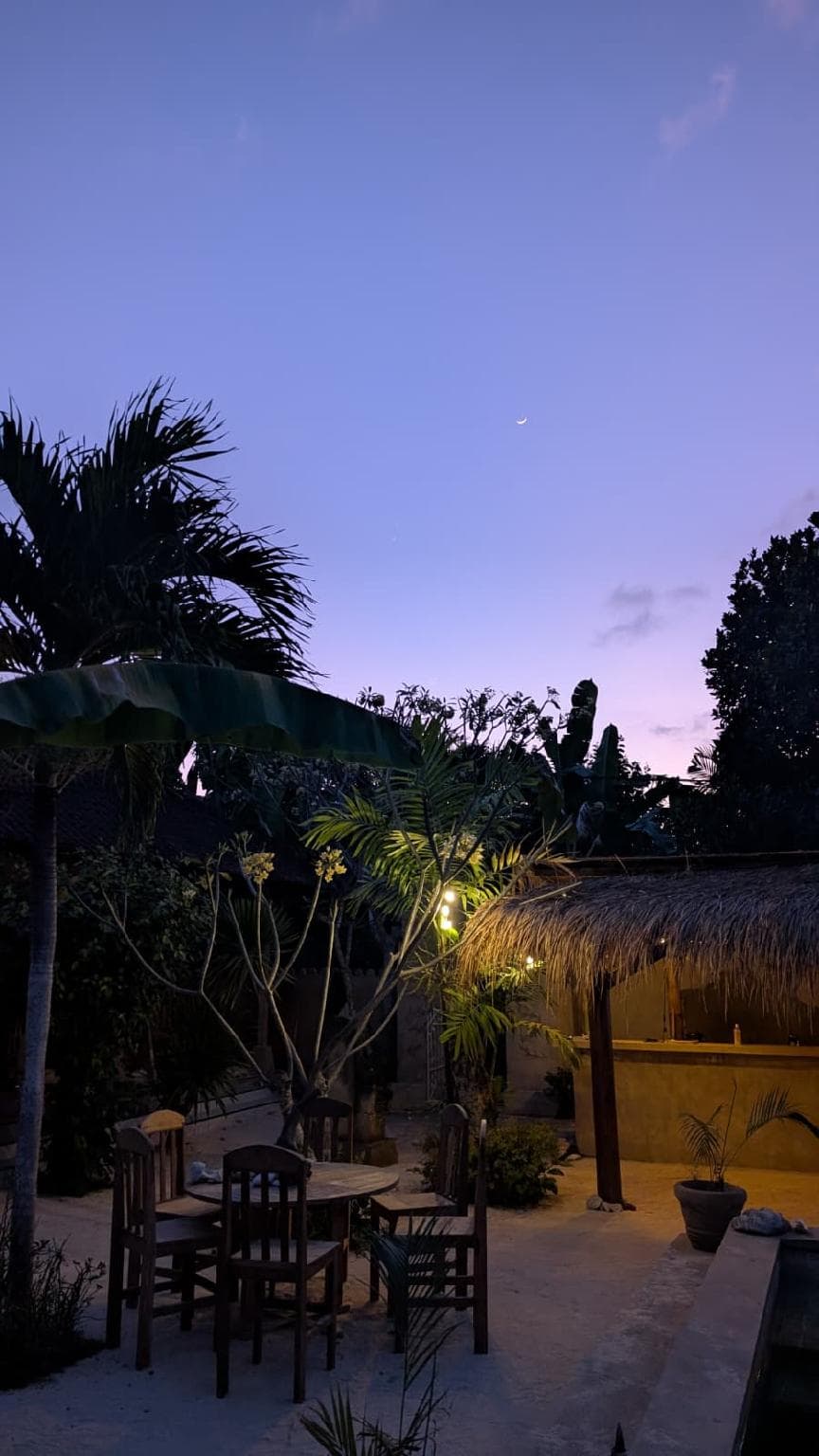 The House of The Rising Tide Boutique Hotel photo 4