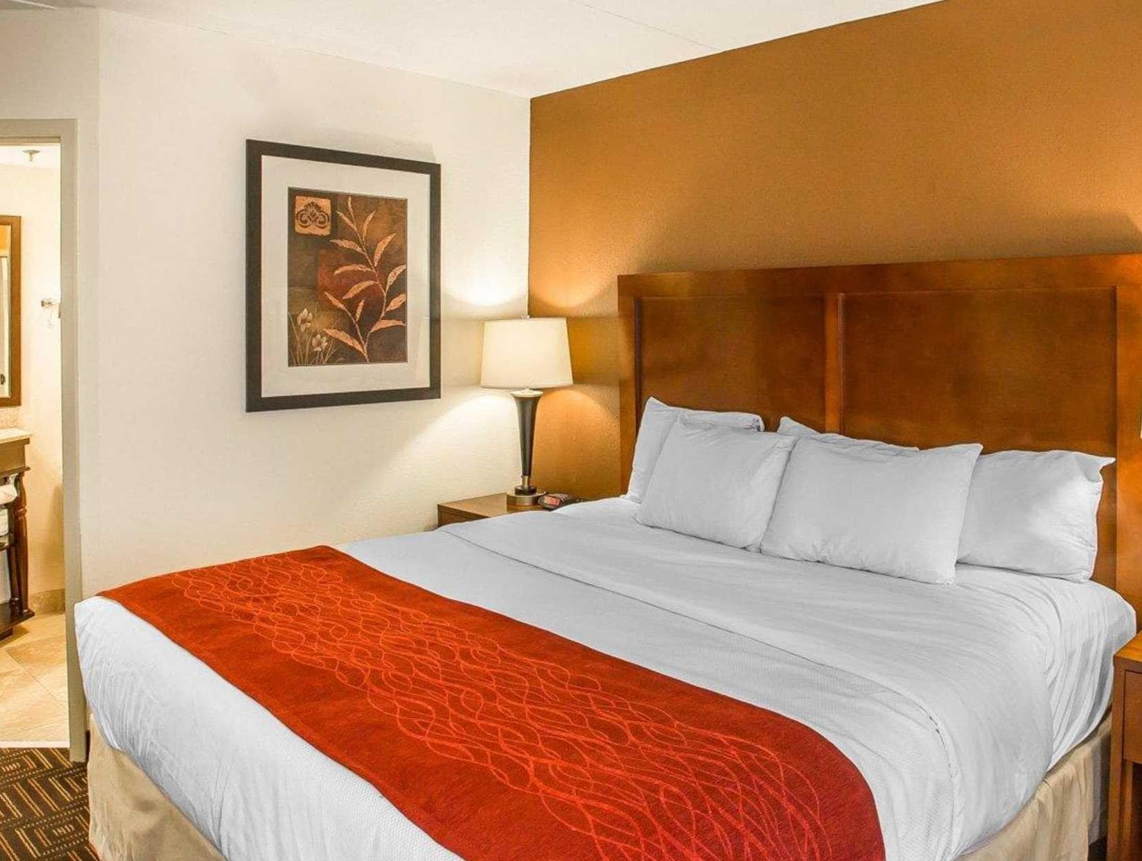 Comfort Inn Chattanooga Downtown Southside photo 3