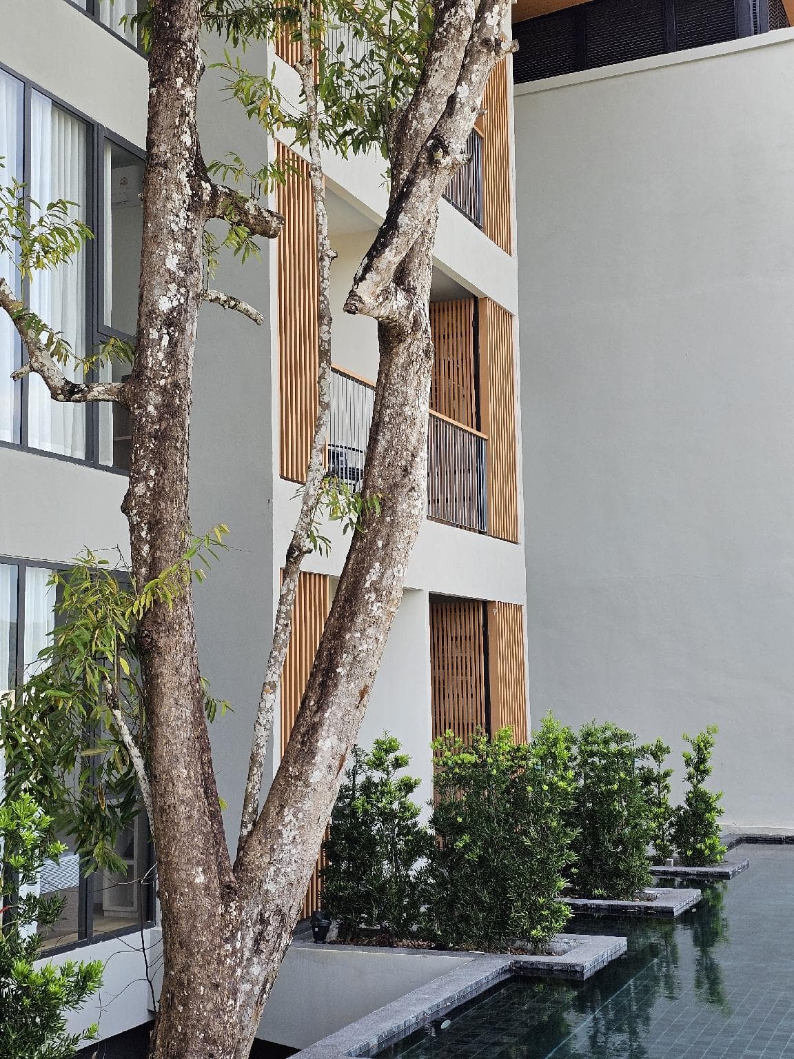 Wora Phuket photo 5