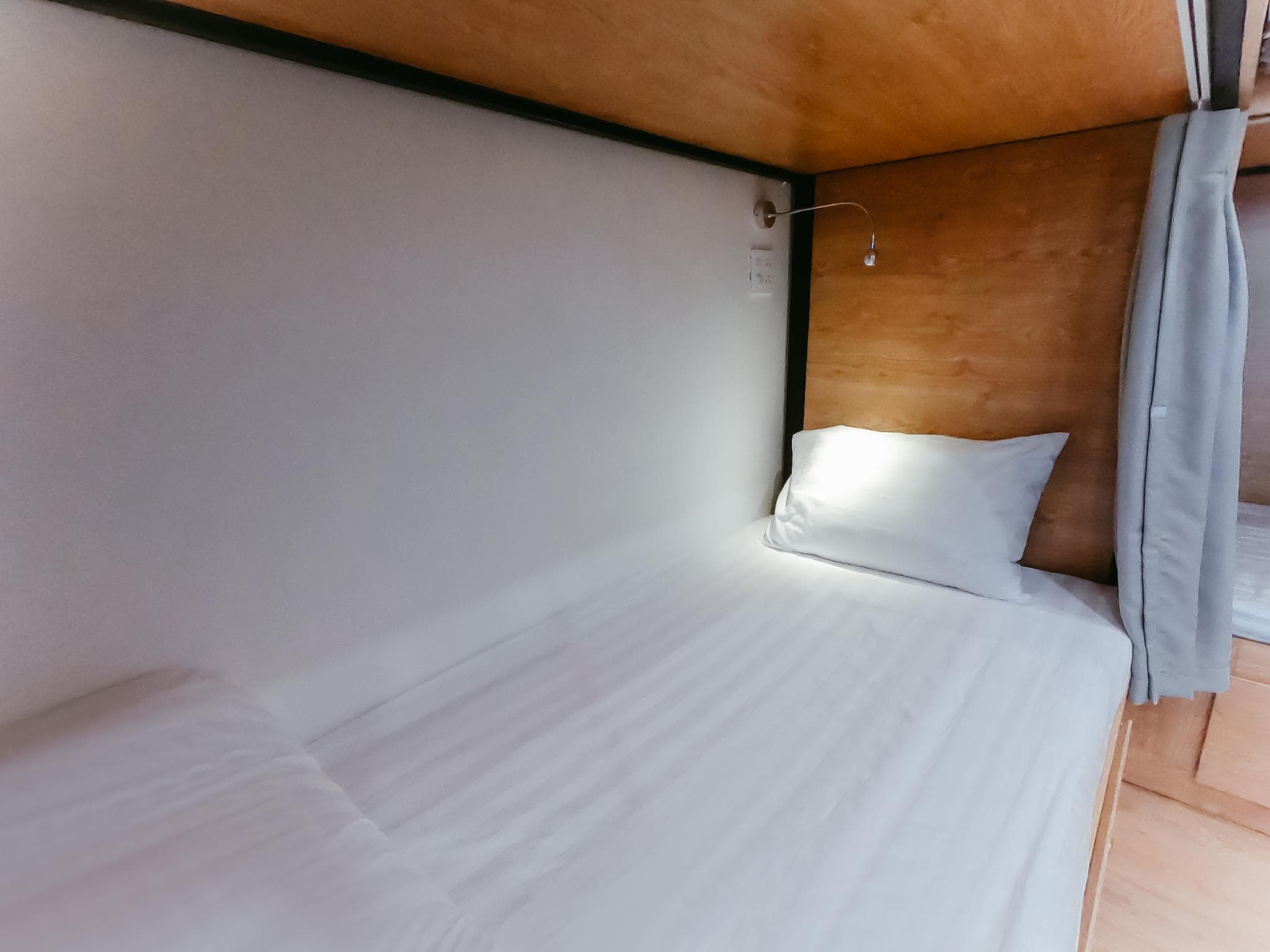 Daisy House photo 4