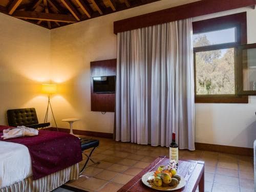 La Casona del Patio photo 5