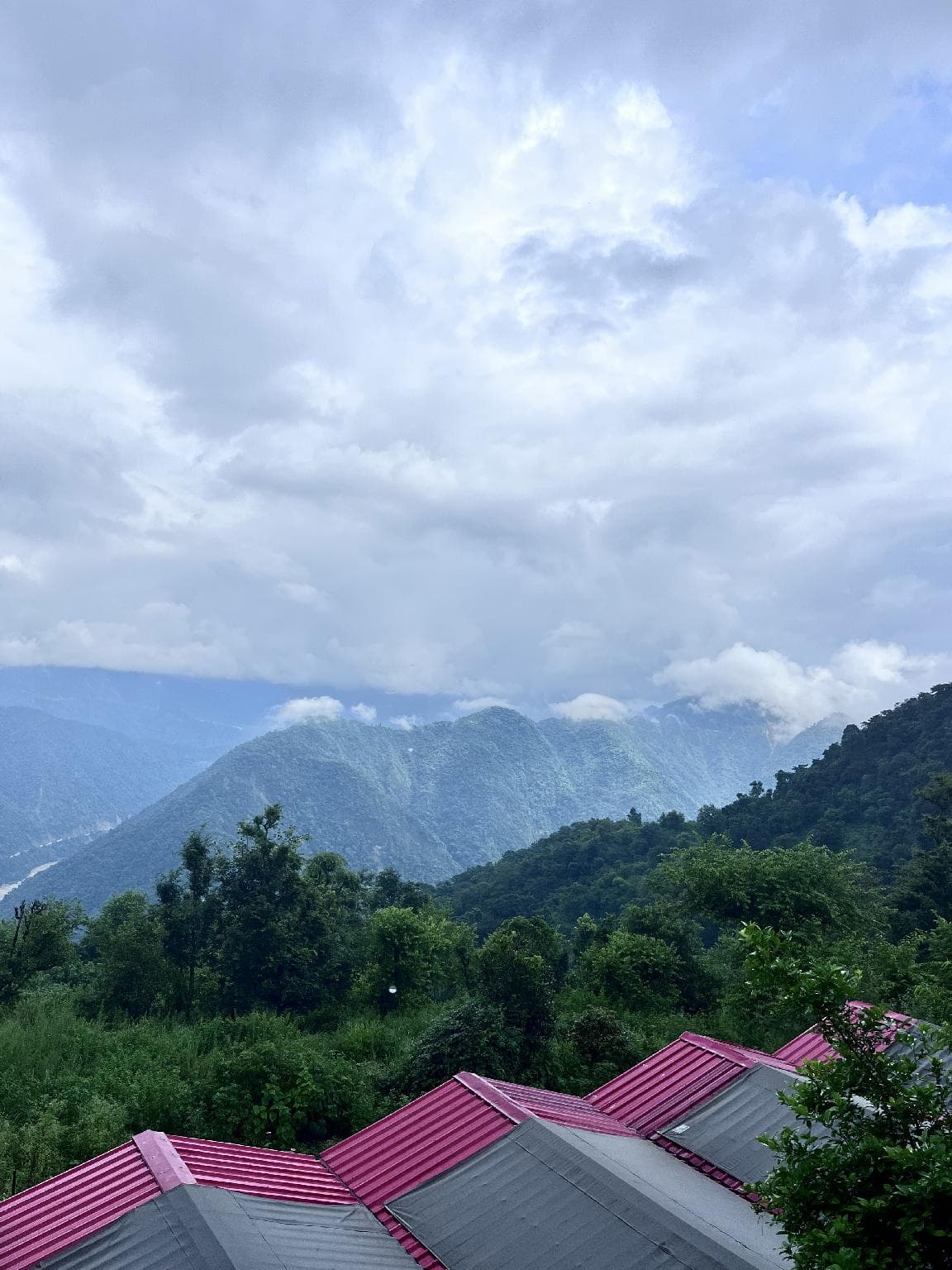 The Dancing Leaves Rishikesh photo 2