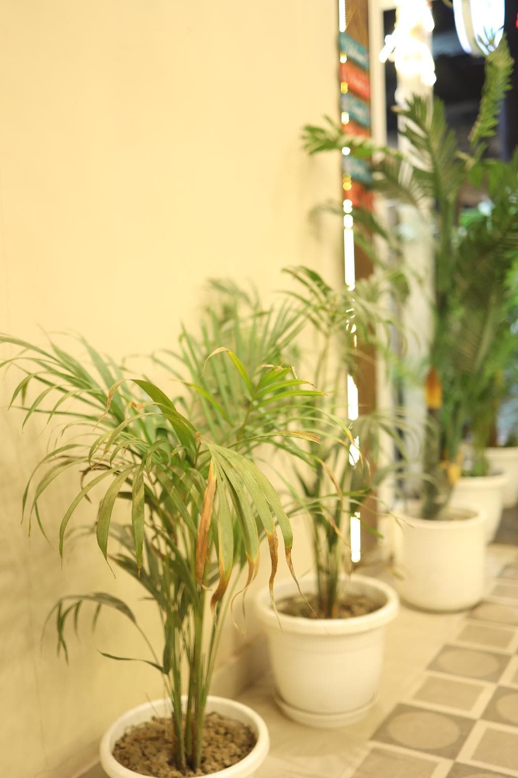 HAPPY HOME PAYING GUEST HOUSE photo 3