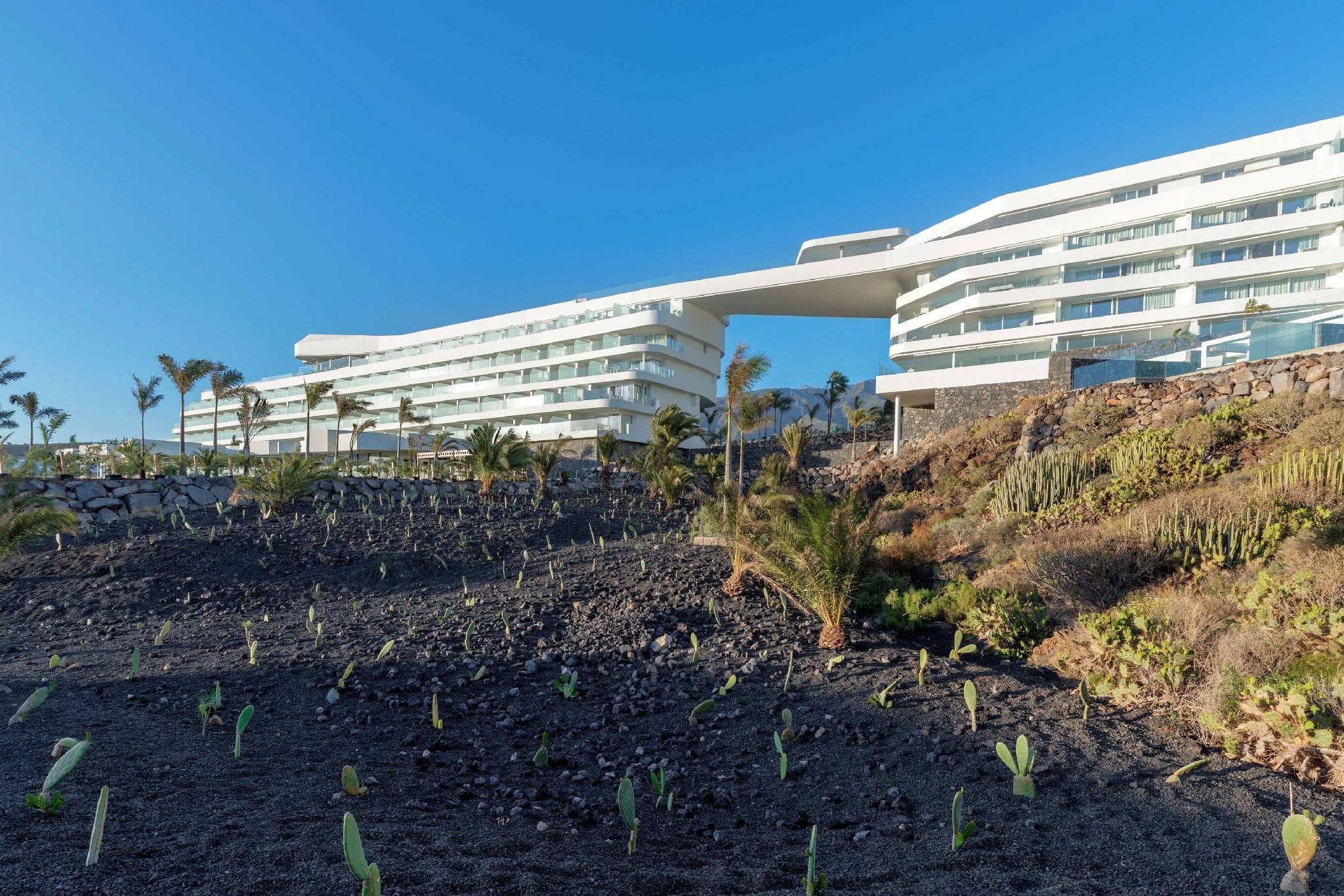 Royal Hideaway Corales Suites photo 5