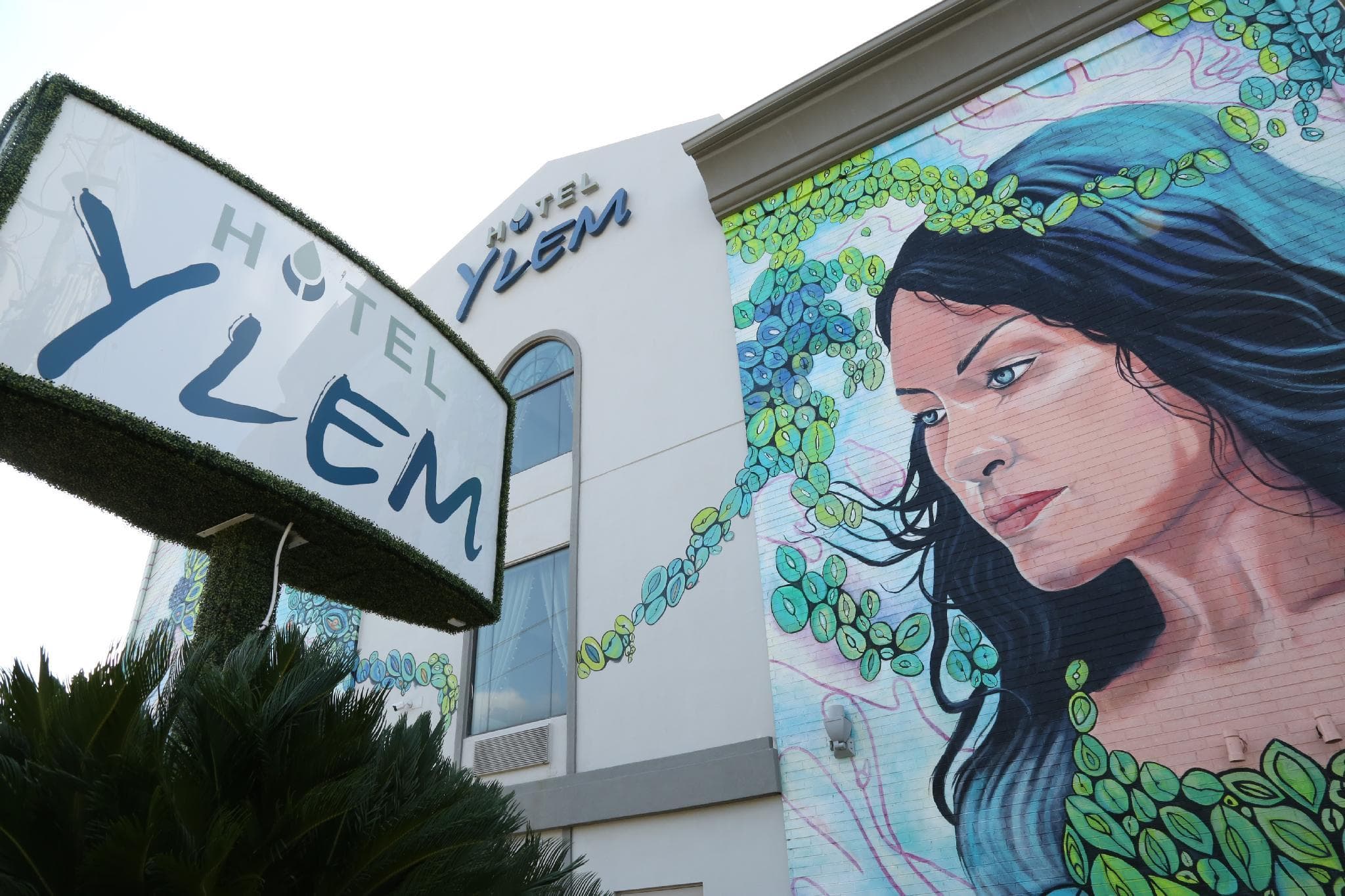 Hotel Ylem photo 4