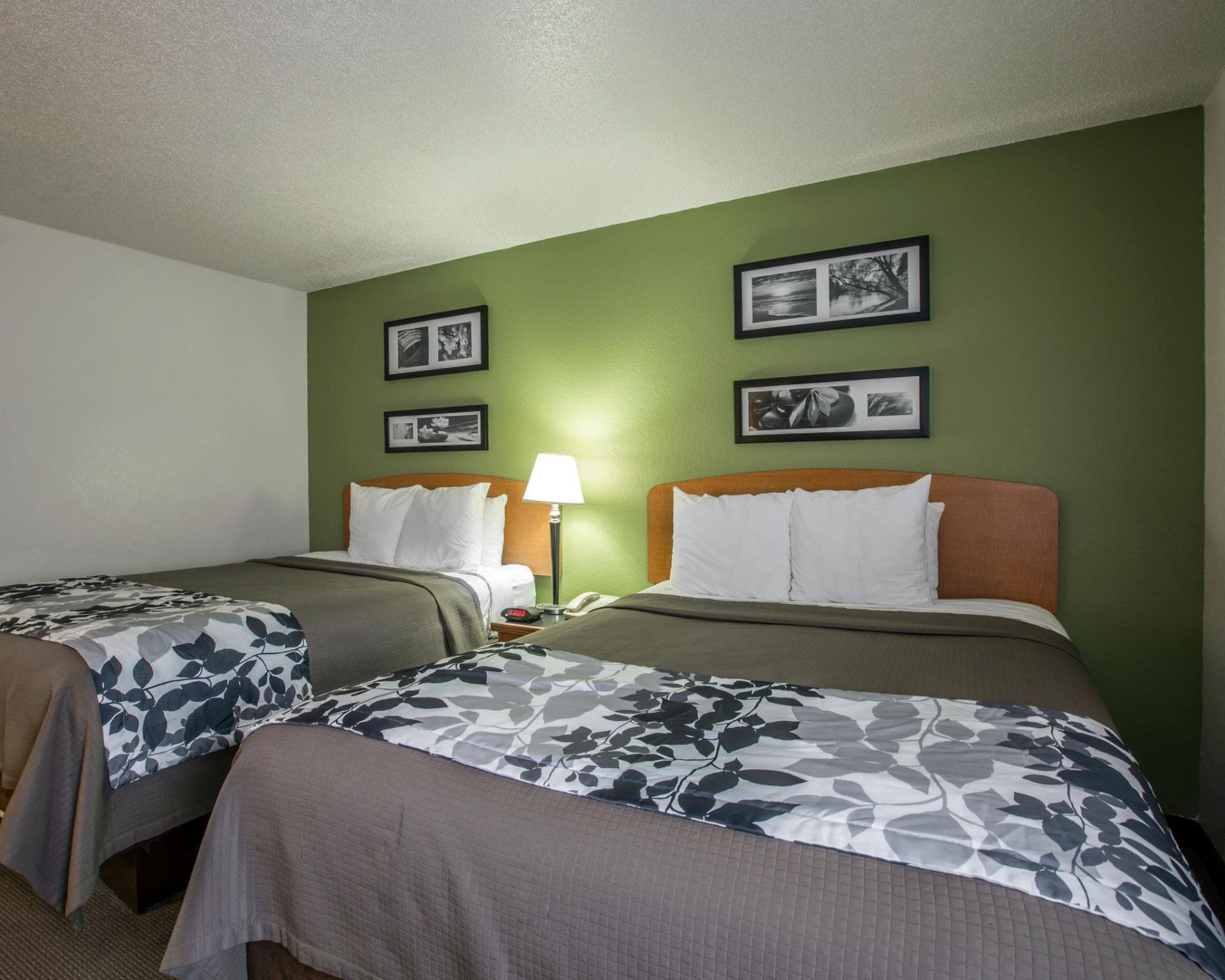 Sleep Inn & Suites near Sports World Blvd. photo 2