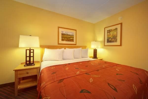Econo Lodge Pigeon Forge Riverside photo 4