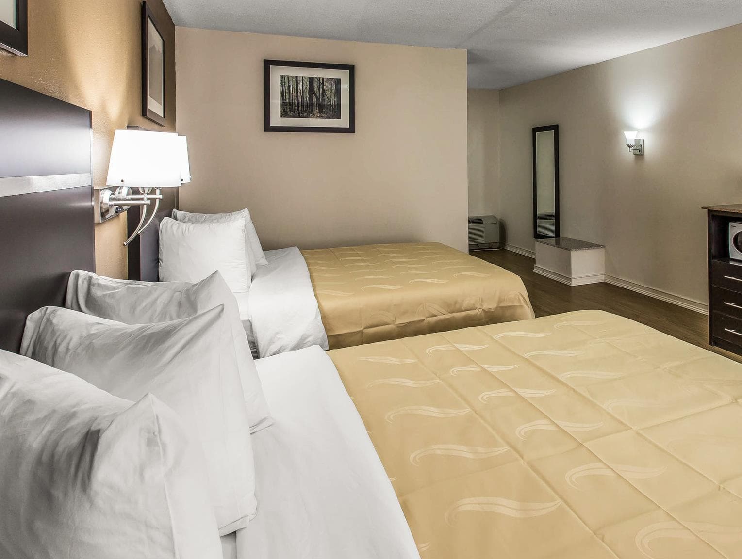 Quality Inn & Suites Gatlinburg North photo 4