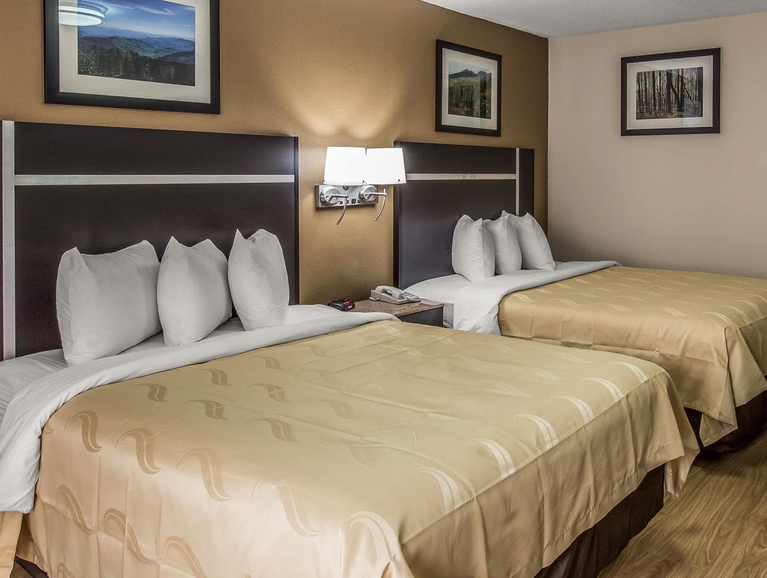 Quality Inn & Suites Gatlinburg North photo 5