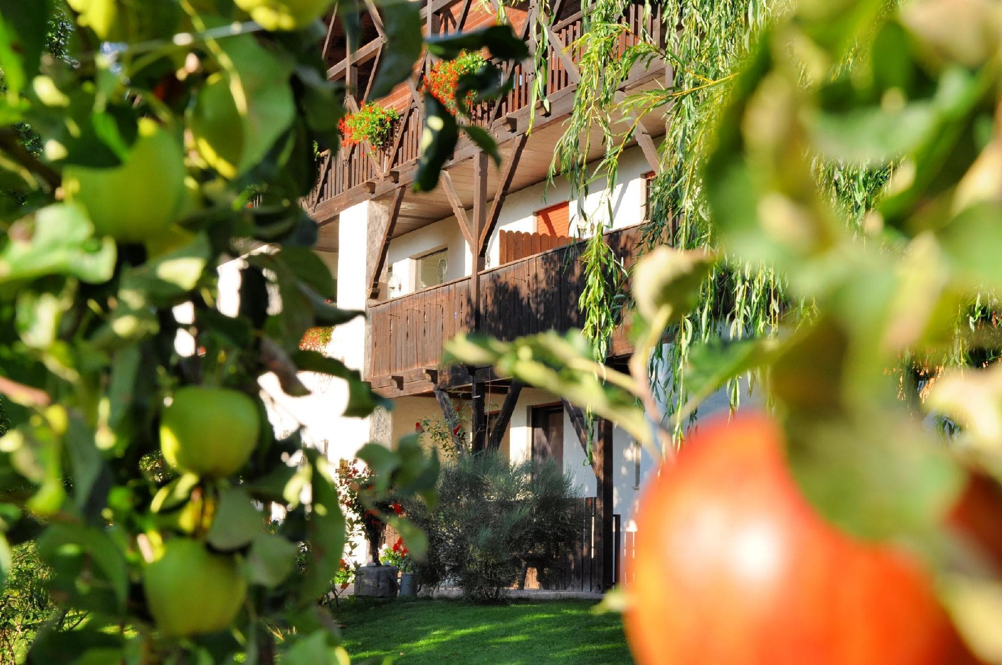 Pension Feldgärtenhof photo 3