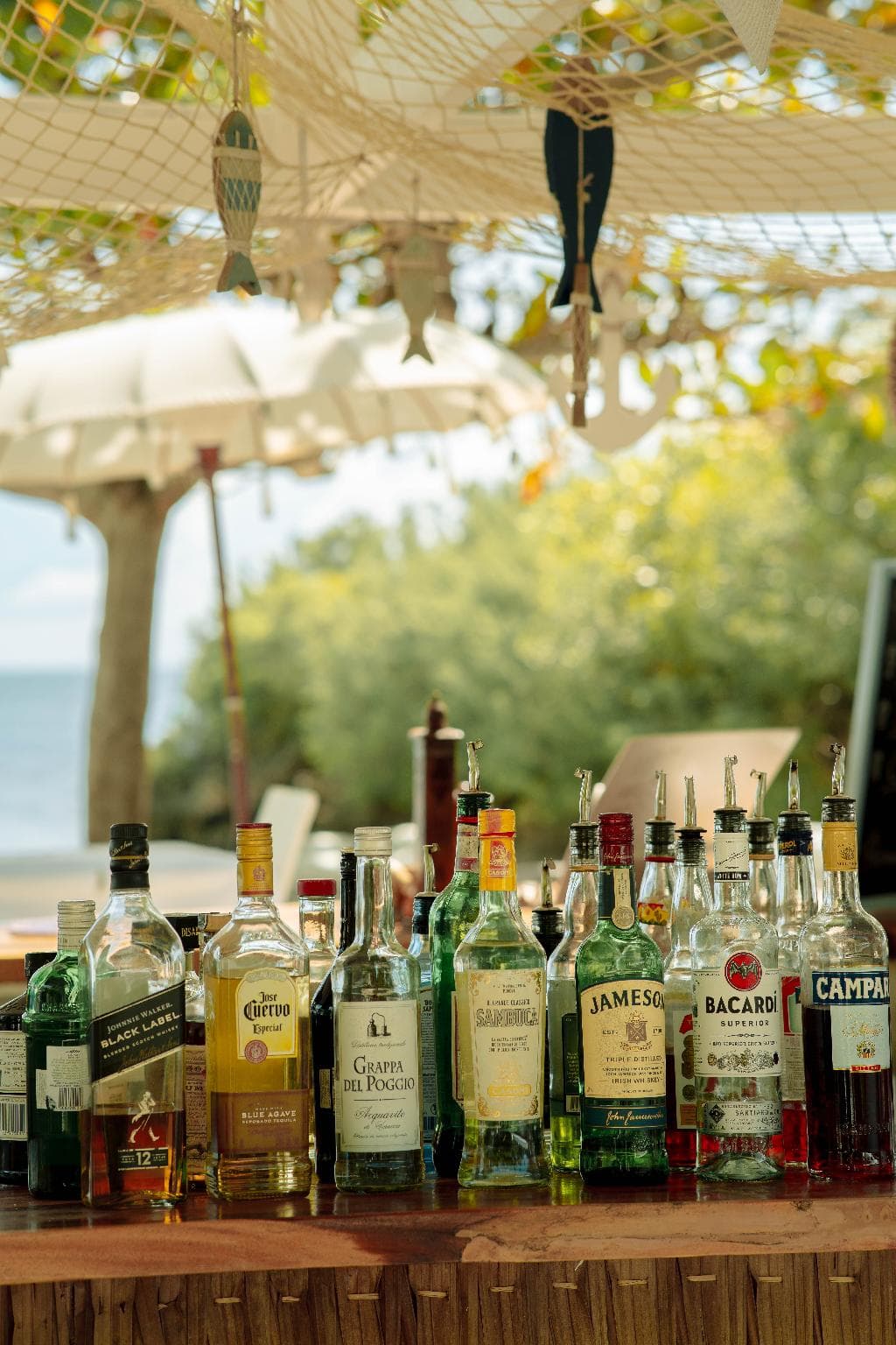 Blanco Beach Resort photo 4
