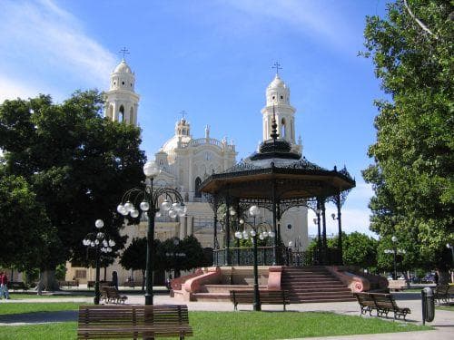 Hotel Plaza las Quintas photo 2