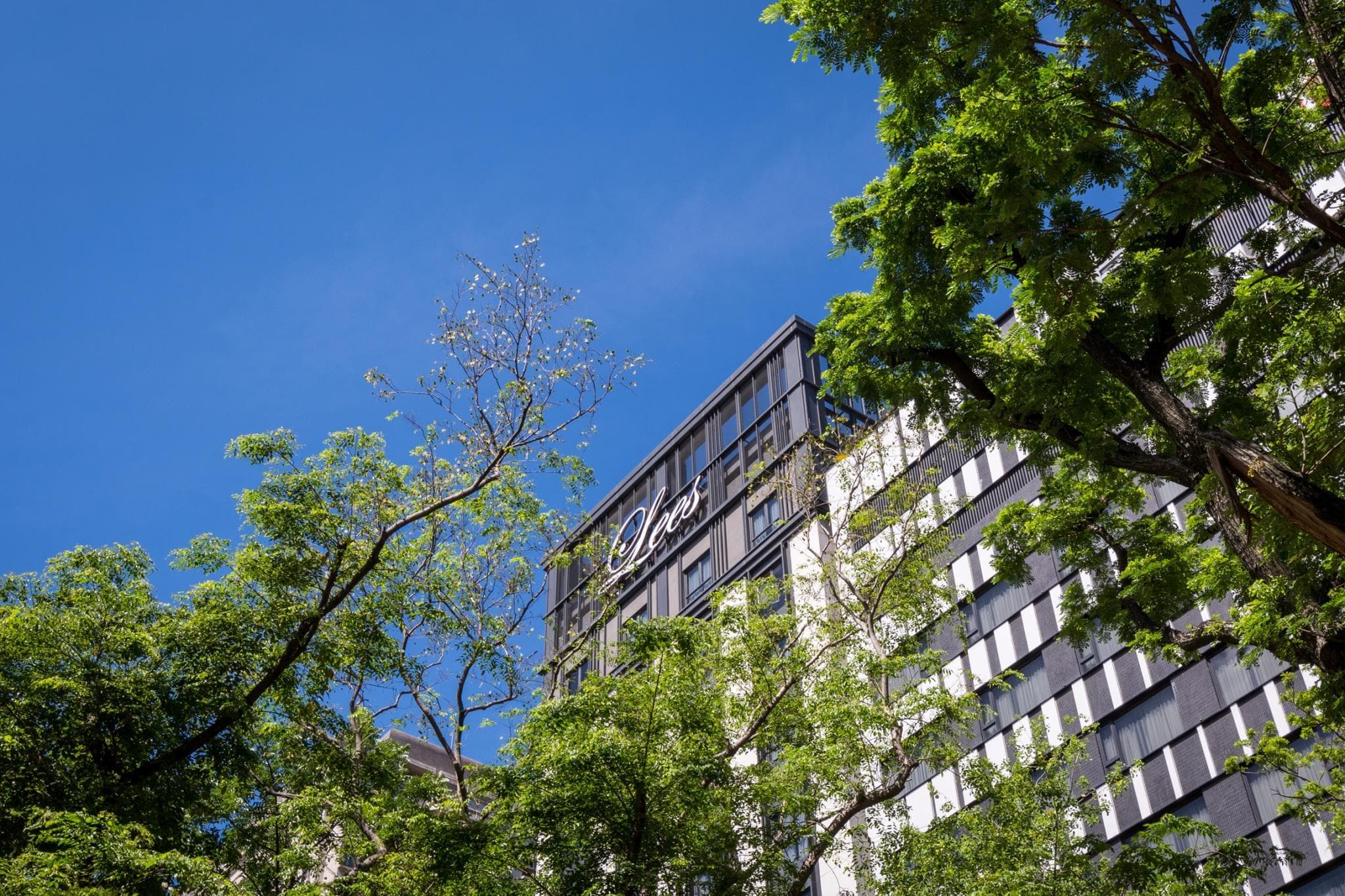 Park Lees Hotel photo 4