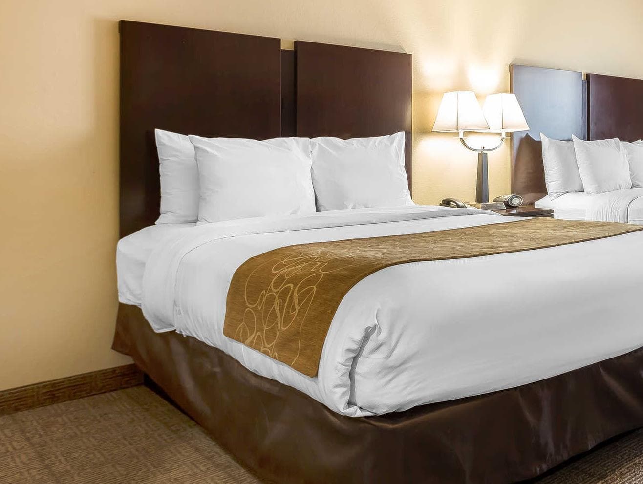 Comfort Suites Charleston West Ashley photo 4