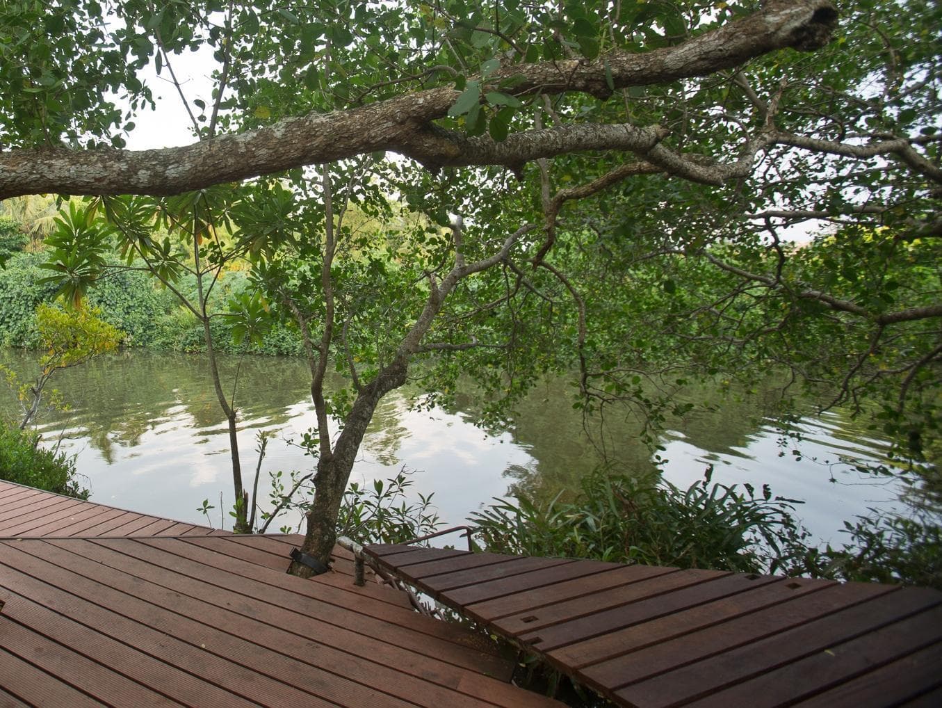 Tamarind Hill photo 5