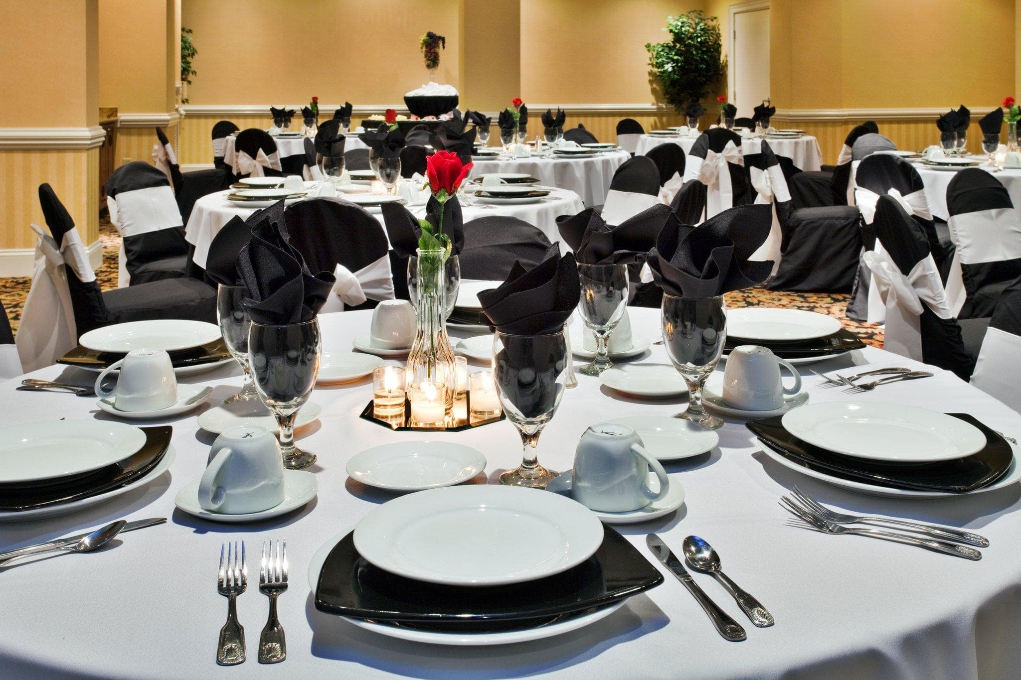 Holiday Inn Valdosta Conference Center By IHG photo 5