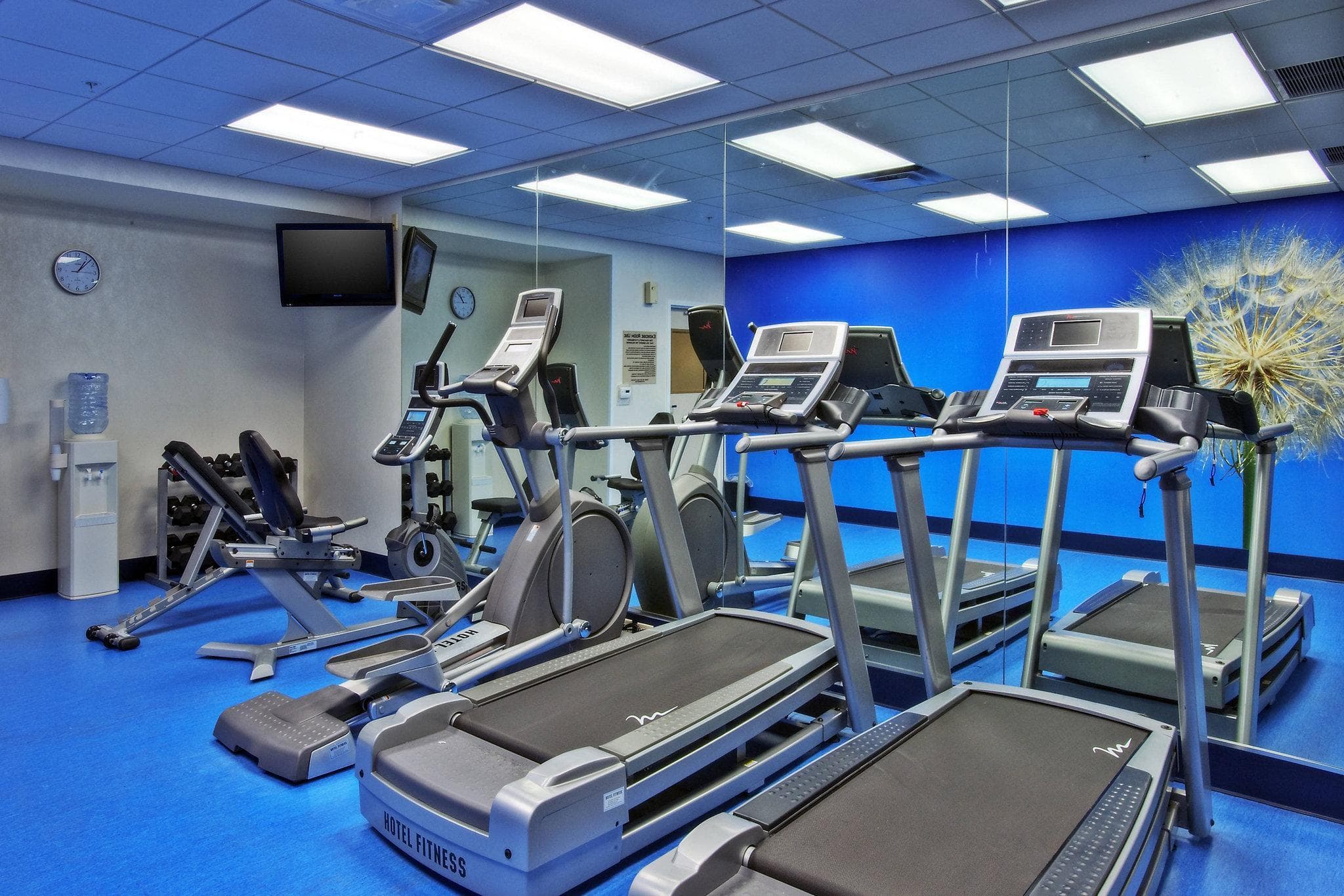 SpringHill Suites by Marriott Baton Rouge North/Airport photo 5
