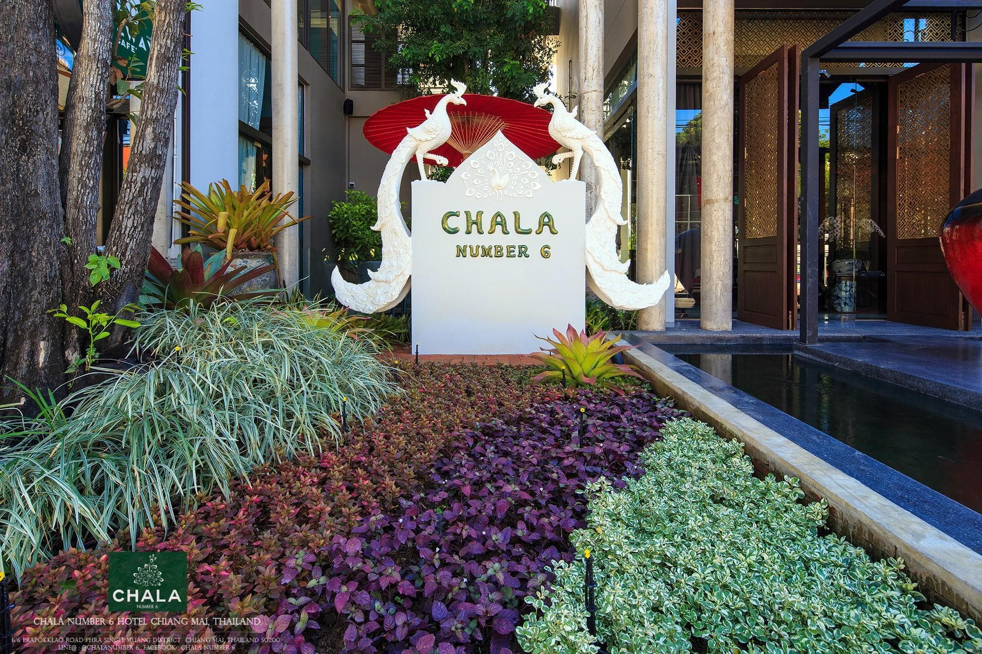 Chala Number 6 photo 4
