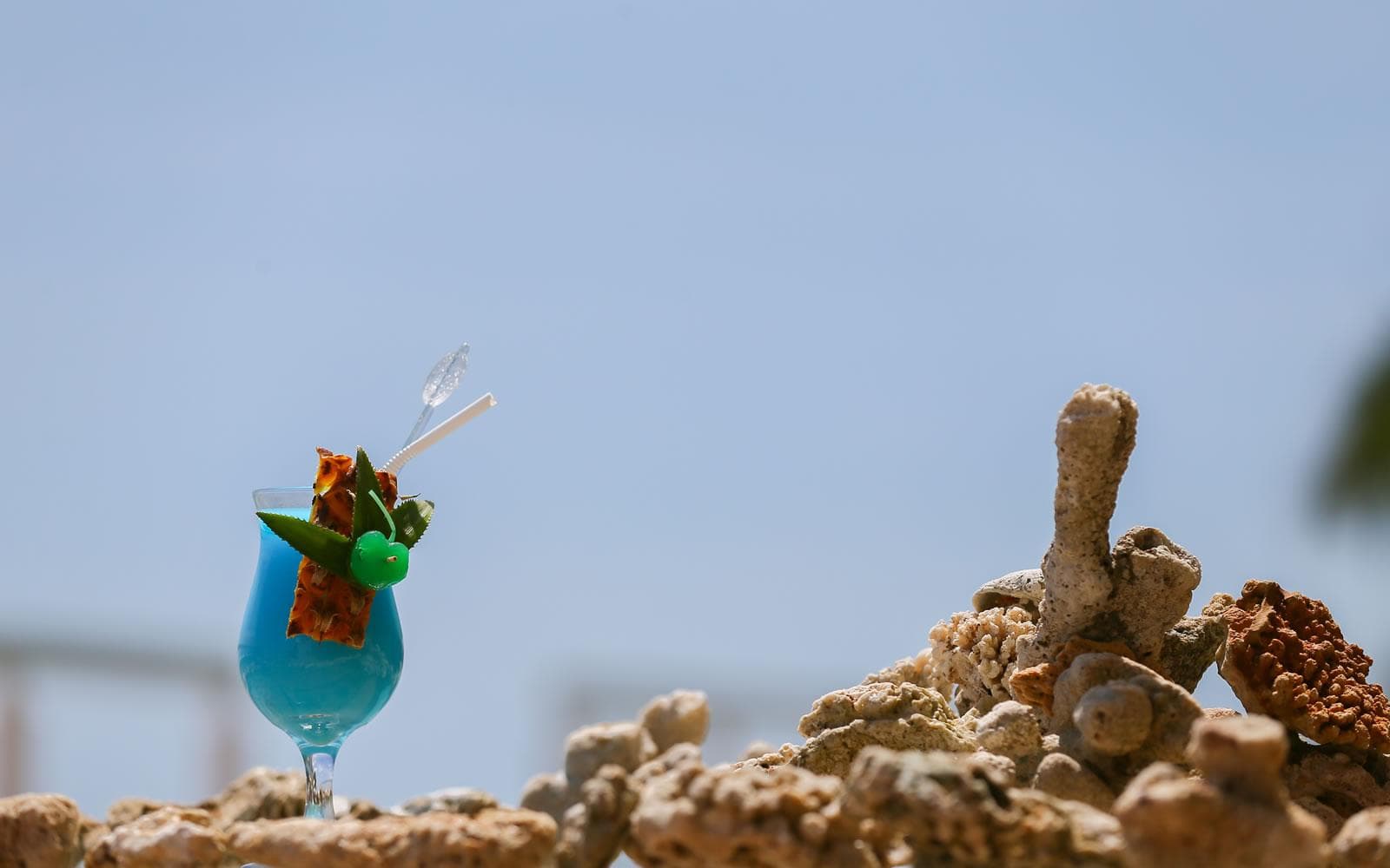 Coral Rock by Bansei photo 5