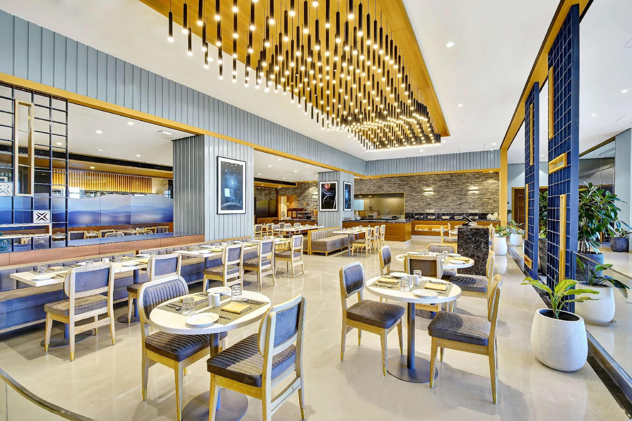 Radisson Hotel Nathdwara photo 3
