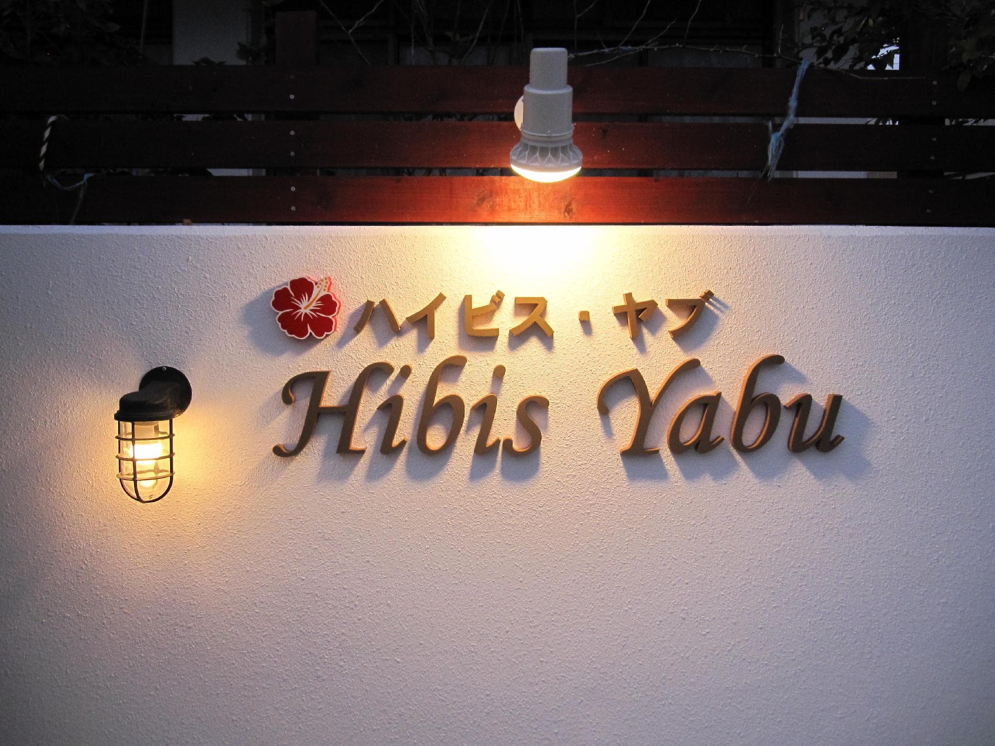 Hibis Yabu photo 3