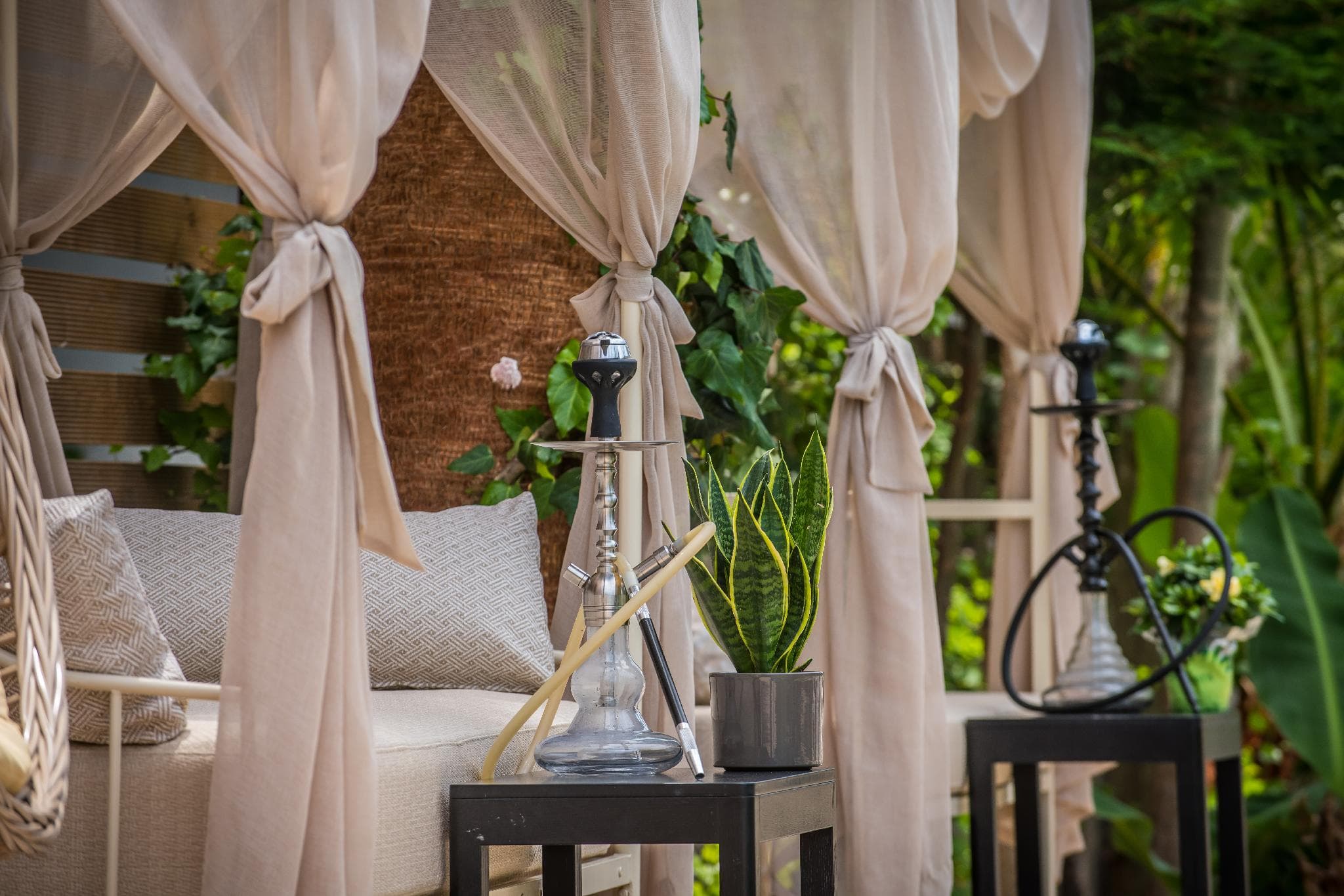 ALSUS BOUTIQUE HOTEL(ADULTS ONLY) photo 5