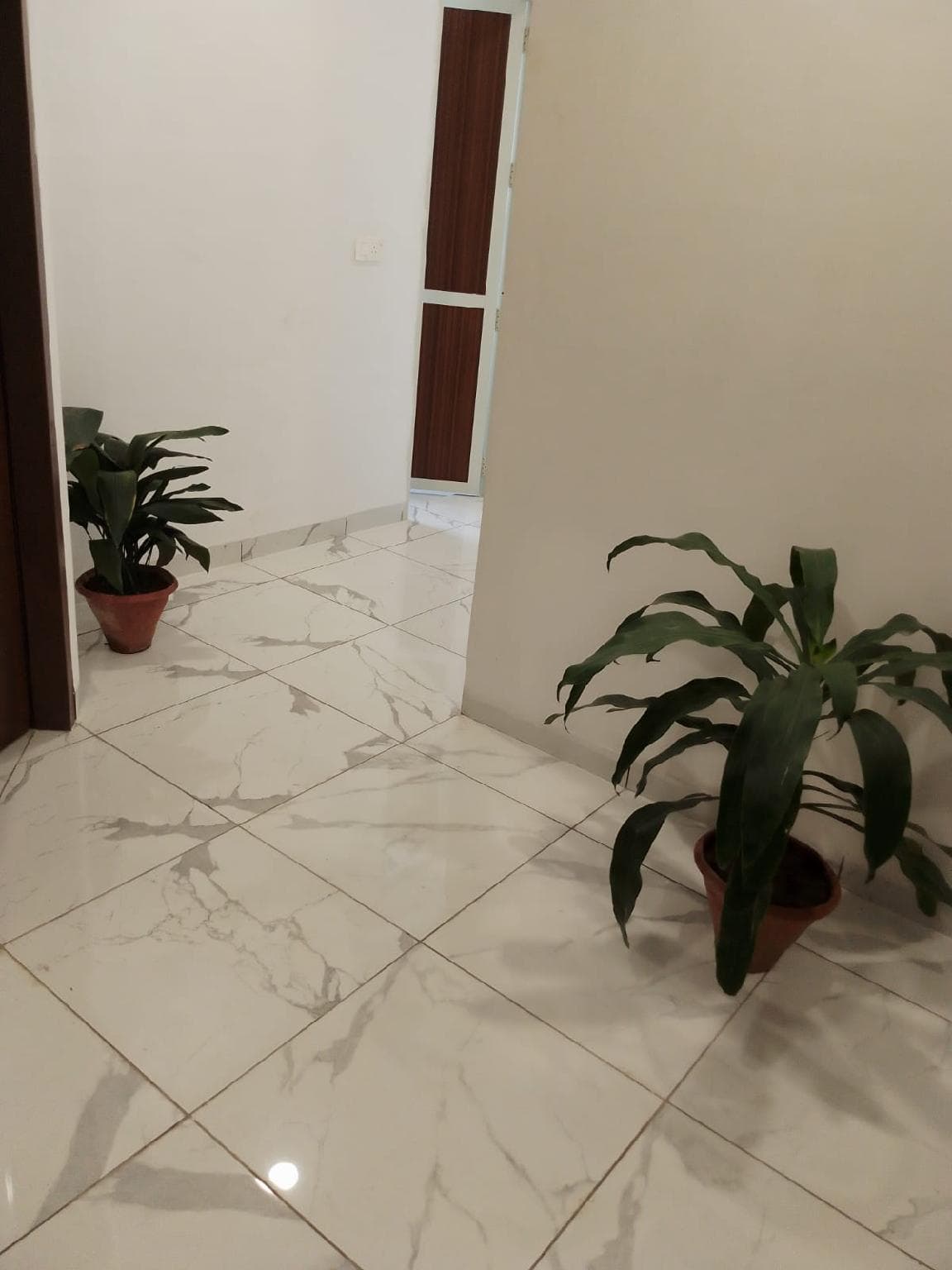 ALMOND HOTEL photo 4