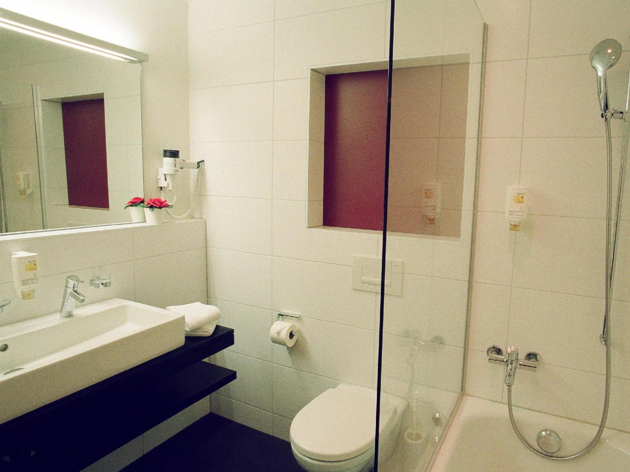 Hotel Alpina Luzern photo 3