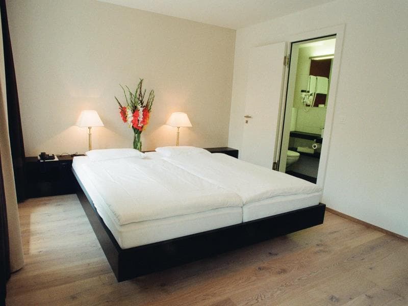 Hotel Alpina Luzern photo 2