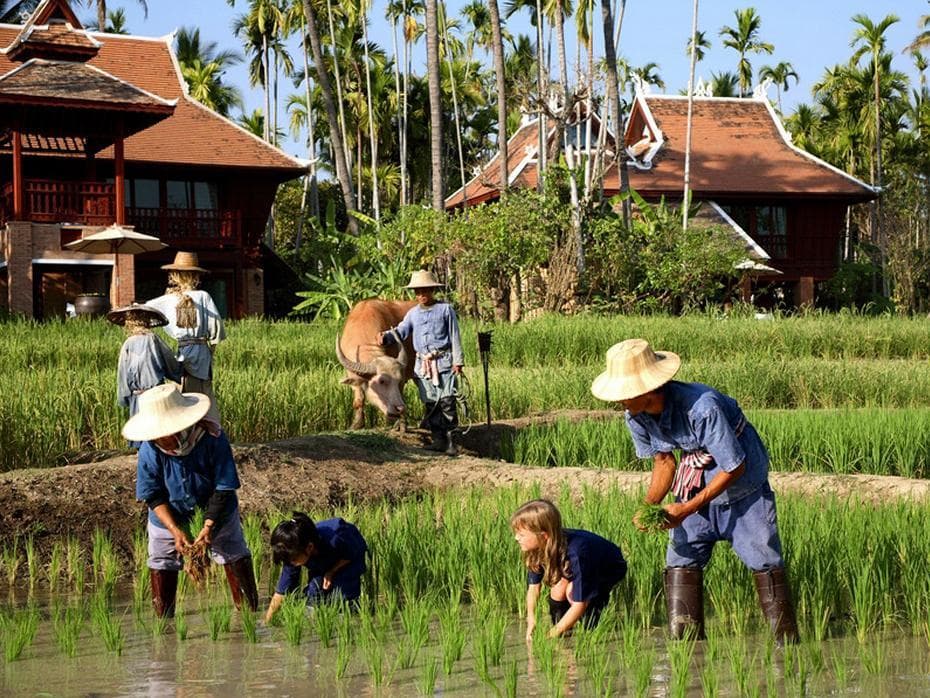The Dhara Dhevi Hotel Chiang Mai photo 4