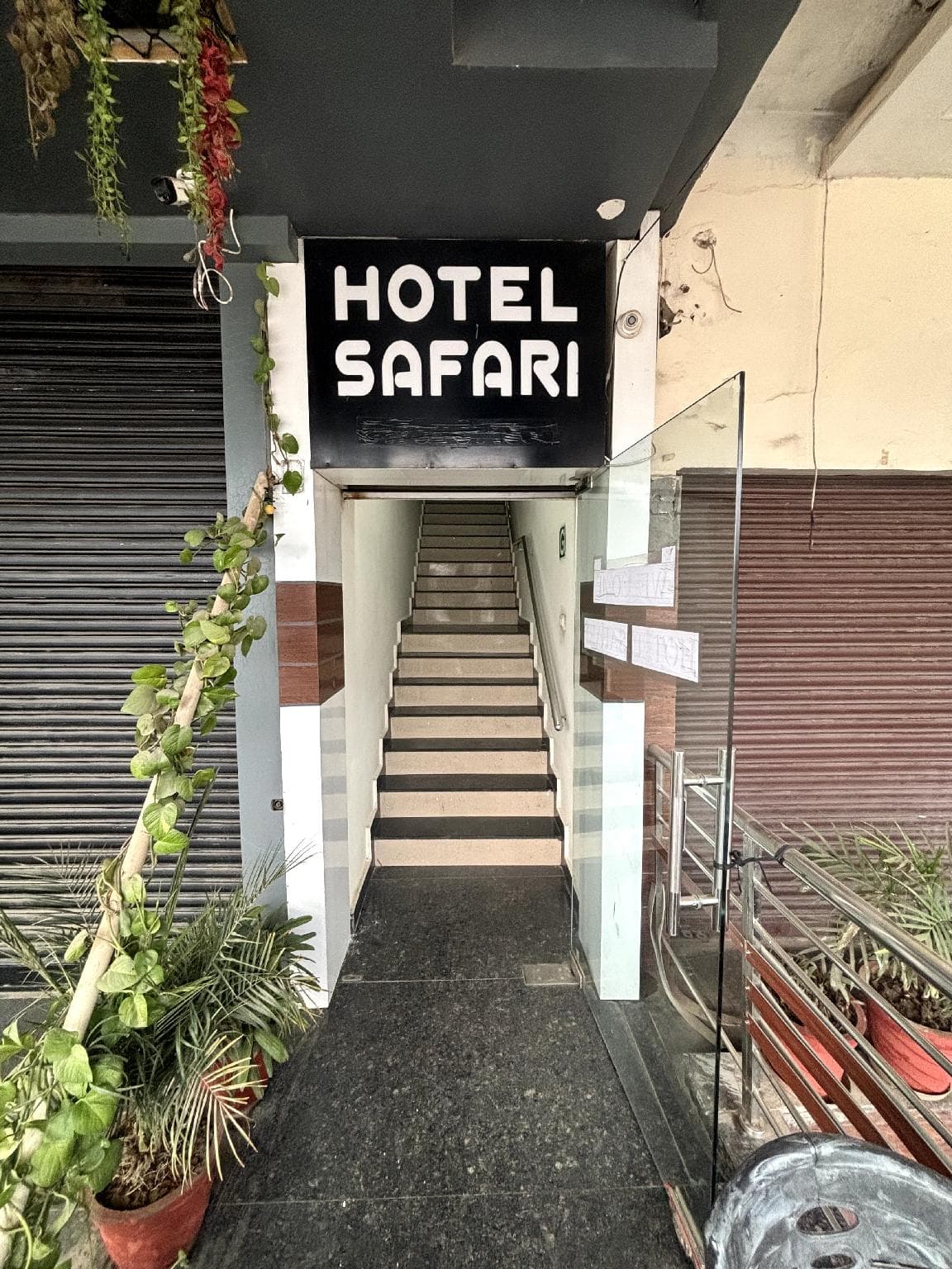 Hotel Safari photo 3