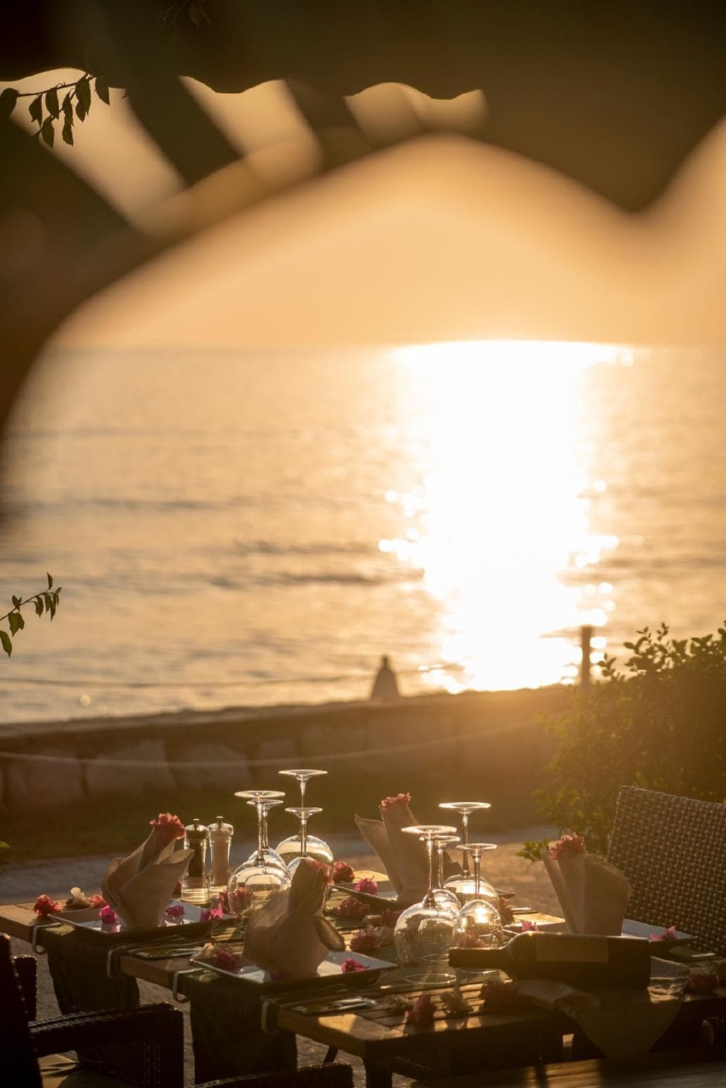 SİDE BEACH CLUB photo 5