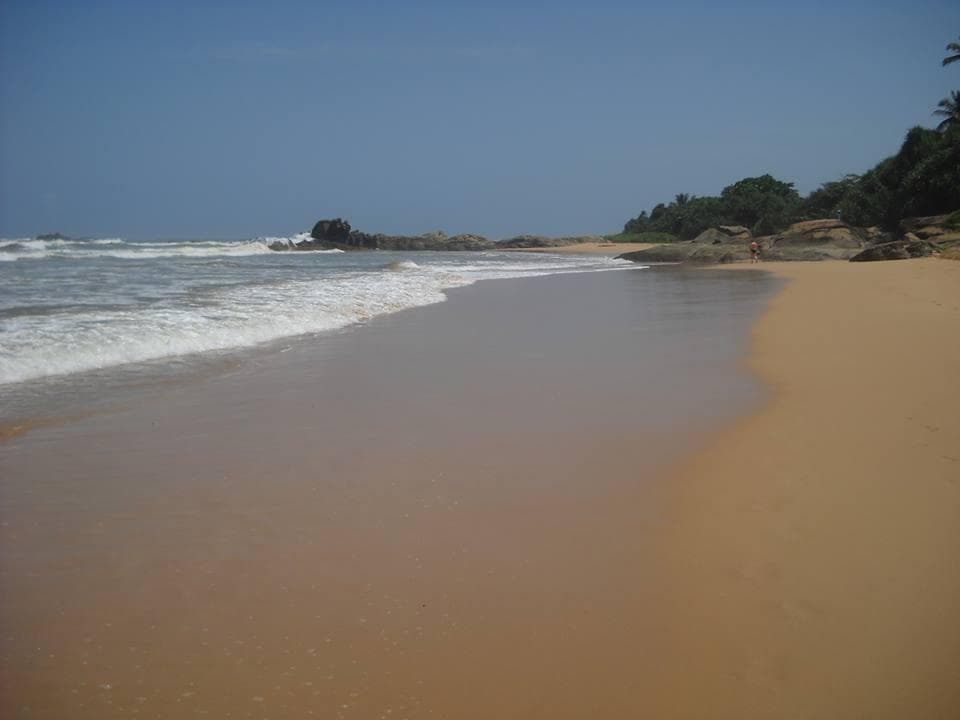 Chitra Ayurveda Hotel photo 3