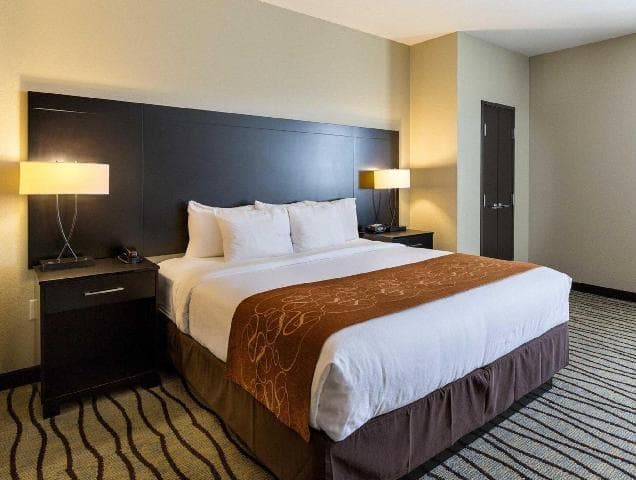 Comfort Suites near Westchase on Beltway 8 photo 2