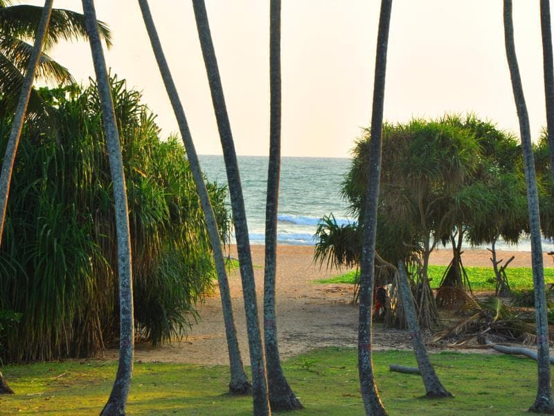 Ocean View Hotel