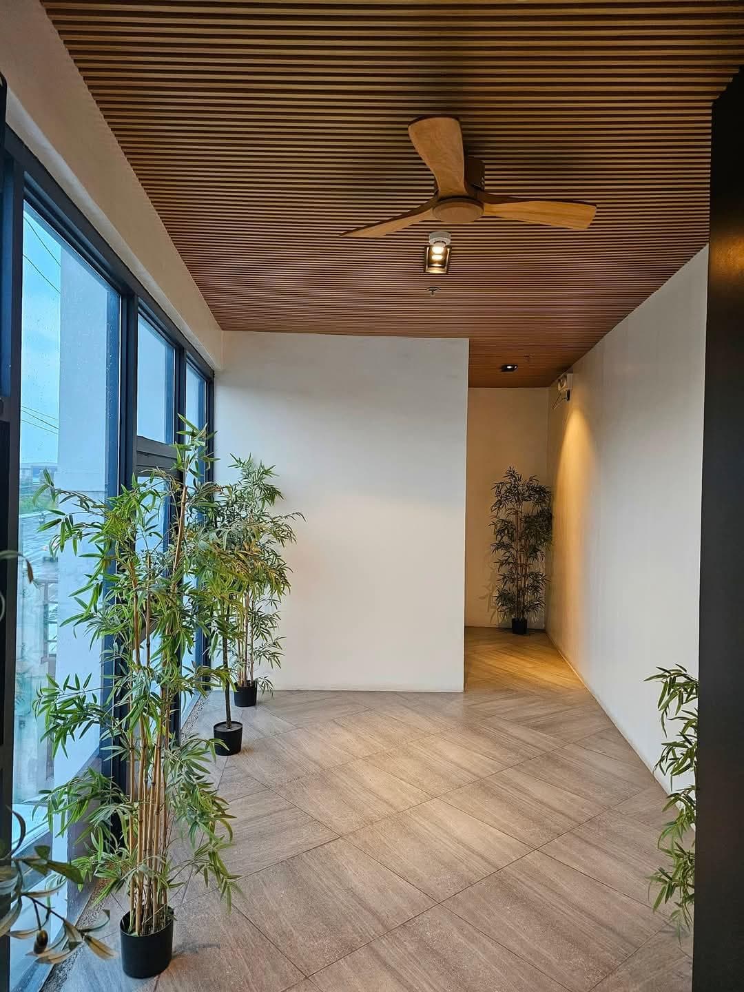 Terra Hotel photo 3