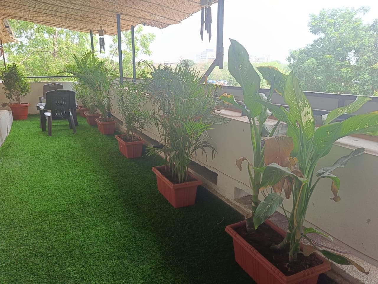 Hotel Green Park - Sector 11 photo 3