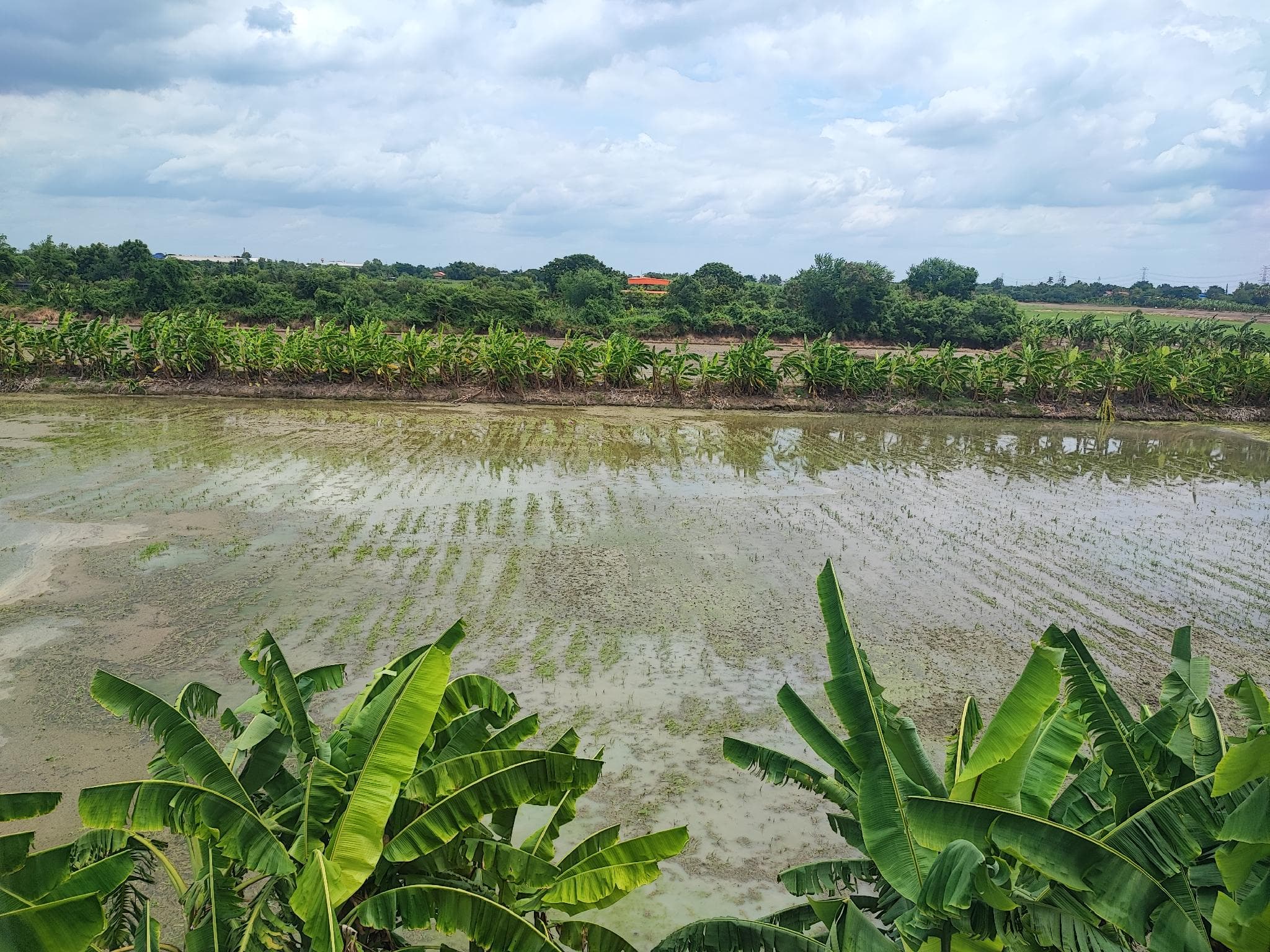 Rak Bua Hotel photo 4