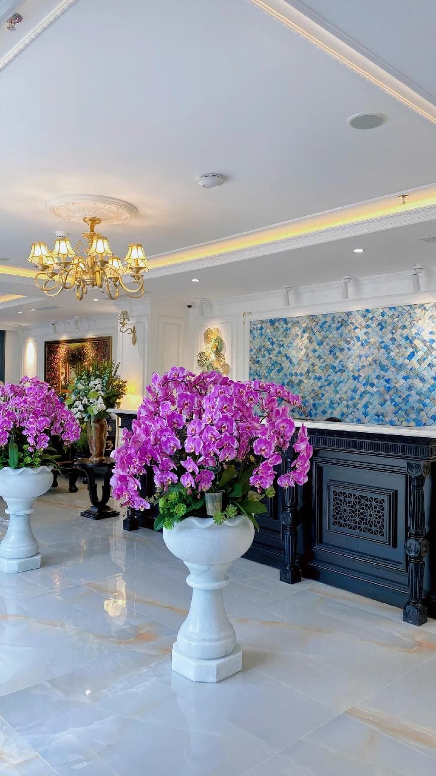 Leo Mansion Apartment & Hotel Da Nang photo 4