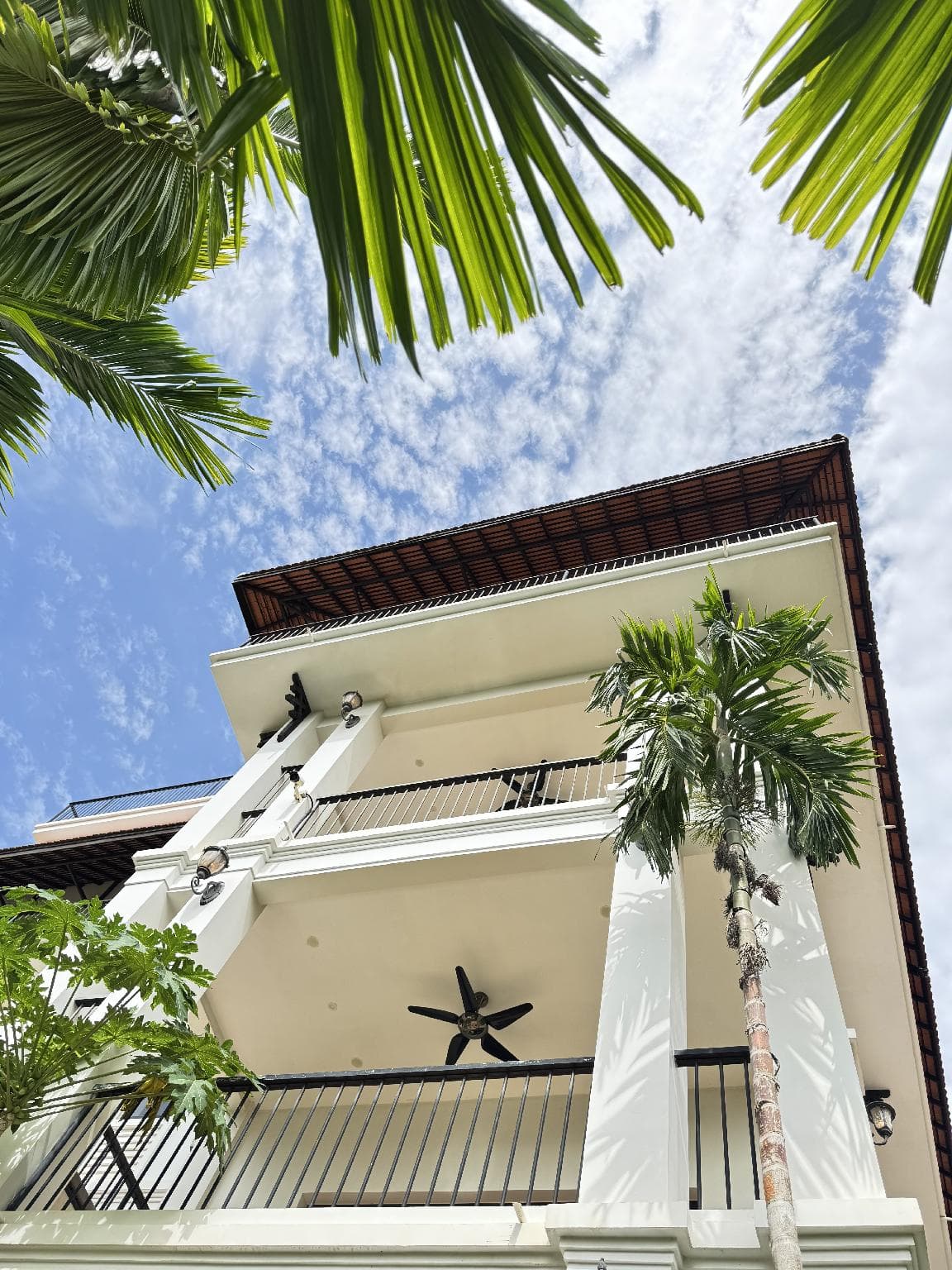 Mealy Villa Hotel photo 4