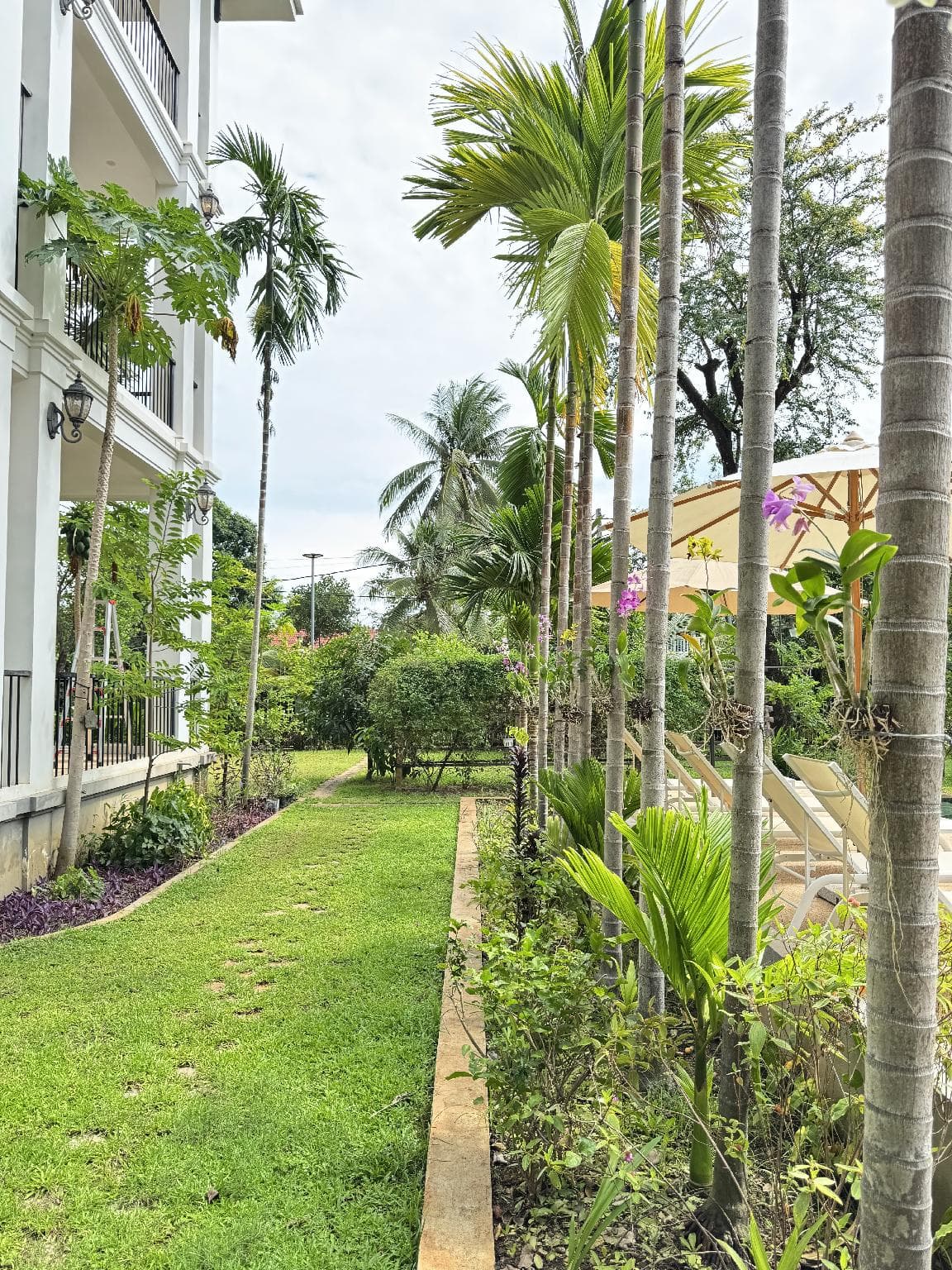 Mealy Villa Hotel photo 3